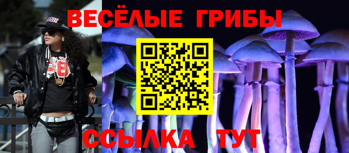 Псилоцибиновые грибы мухоморы Нефтекумск