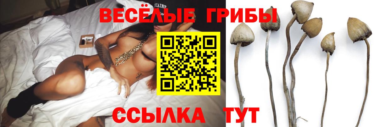 Псилоцибиновые грибы ЛСД  Галлюциногенные грибы мухоморы  Нефтекумск  Вход с VPN 